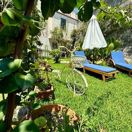 Gogas Amalfi Coast Apartment Cetara Exterior photo